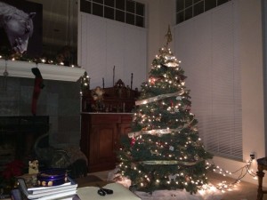 peral-navidad - 32