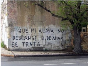 amar el amor