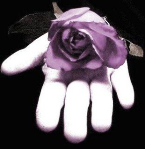 dar una rosa