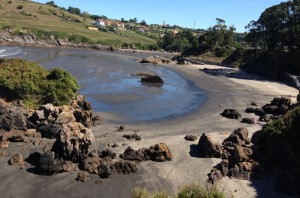 Playas del ashram
