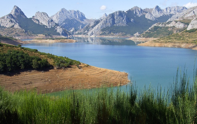 25 de Noviembre – La naturaleza expresa amor – Respuestas al corazón