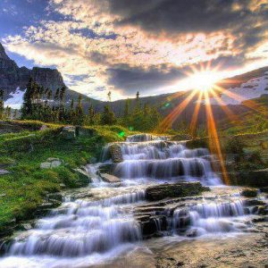 Aceptación y Entrega