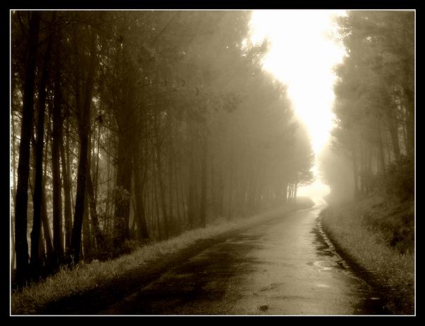 2 de Enero – Arquitectos del camino – Respuestas al corazón