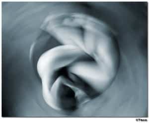 Unión de un hombre y una mujer Ying Yang y piscis