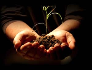 Practicando la generosidad