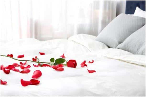 1 de Marzo – Metete en la cama, haz el amor – Respuestas al corazón