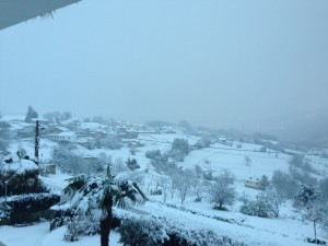Nieve en la peral - paradoja de la vida