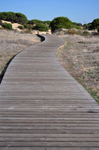 Retiro Meditación Mayo 2014 - Psarela al Coto de Doñana