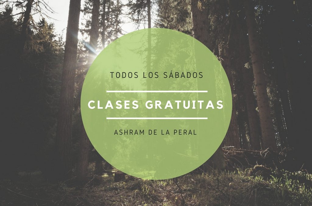 Meditación en Grupo Gratuita con Pranayama Mantra y Gong en Asturias