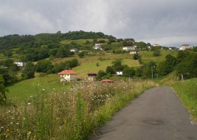 prados verdes