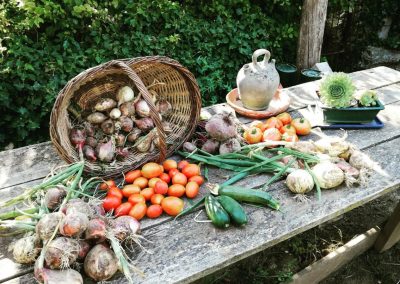 Comida Ashram de la Creatividad