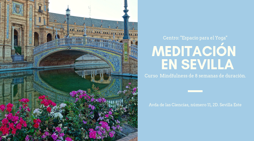 Curso de Meditación – Mindfulness de 8 semanas en Sevilla.
