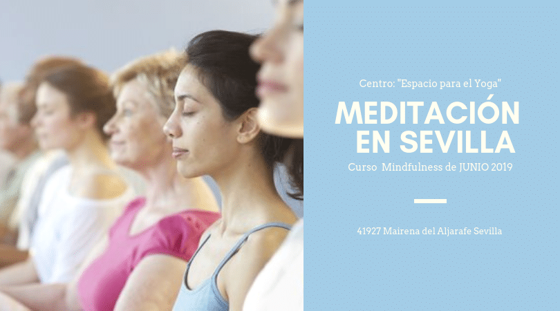 Curso intensivo de Meditación Mindfulness y Hatha Yoga en Sevilla